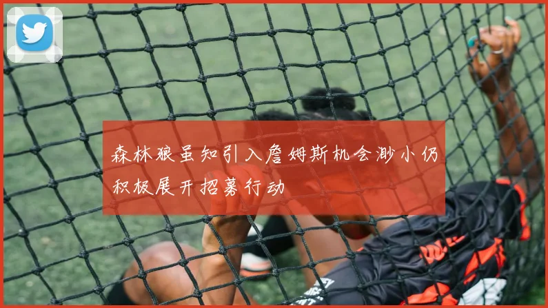 森林狼虽知引入詹姆斯机会渺小仍积极展开招募行动